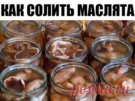 КАК СОЛИТЬ МАСЛЯТА | OK.RU