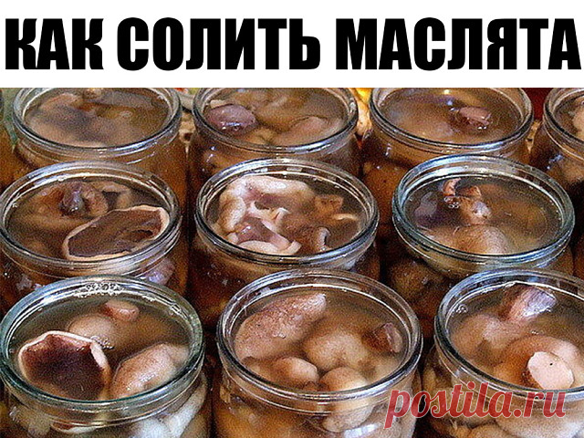 КАК СОЛИТЬ МАСЛЯТА | OK.RU