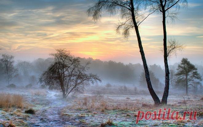 Чем сильнее способны мы любить и отдавать себя другим, тем больше смысла в нашей жизни. Герман Гессе
С добрым утром, дорогие друзья!  / Ботанический сад Тверского государственного университета |  Facebook