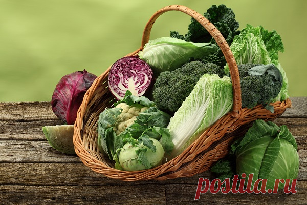 Капустная диета: 5 вкусных рецептов для похудения
Понедельник — отличный повод сесть на диету, не откладывая на завтра. Предлагаем...
Читай дальше на сайте. Жми подробнее ➡