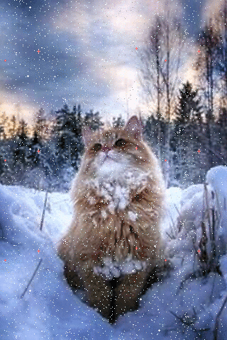 Зима