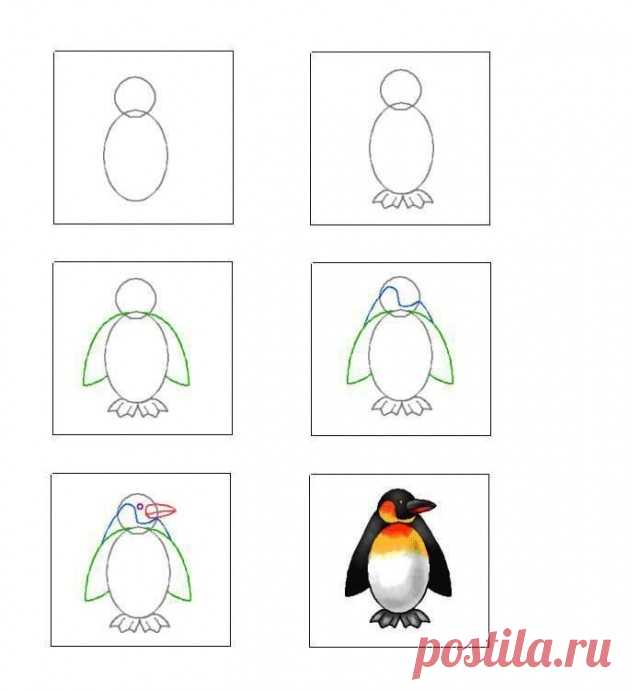 ​Учим детей рисовать животных