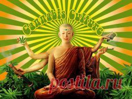 марихуана для фотошопа: 29 тыс изображений найдено в Яндекс.Картинках