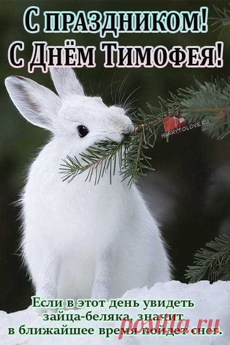 Тимофей Весновей! Солнечных дней и позитива!