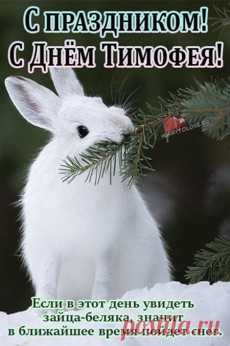 Тимофей Весновей! Солнечных дней и позитива!