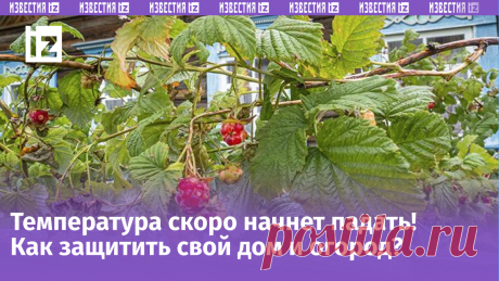 Как подготовить дачу к осени? Подробные советы эксперта к сезону холодов | Известия | Дзен