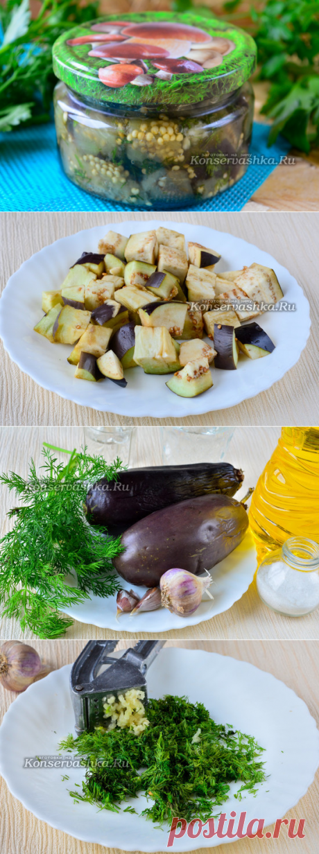 Баклажаны с укропом и чесноком на зиму как грибы