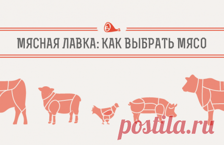 Мясная лавка — как выбрать мясо
