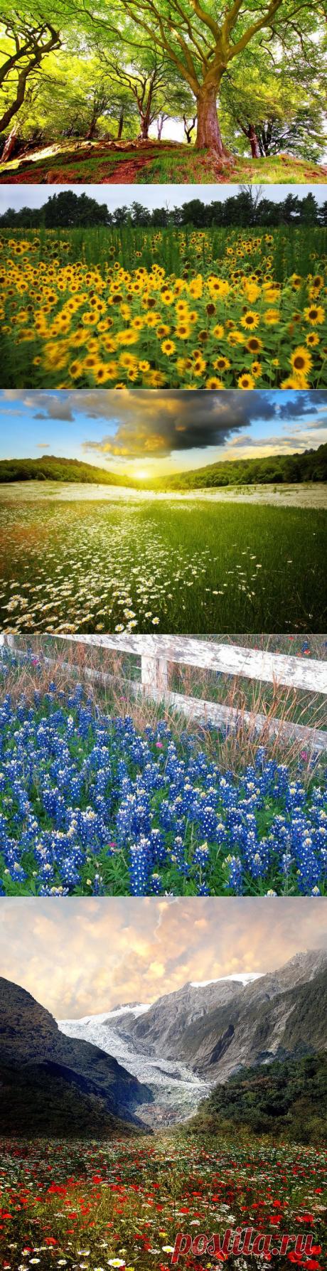 Фото_обои_лето