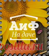 Тайная жена Сталина: ровесница революции - любовница вождя? 21 декабря исполнится 129 лет со дня рождения Сталина. Но мало кто знает о женщине, сыгравшей, пожалуй, самую загадочную роль в жизни...