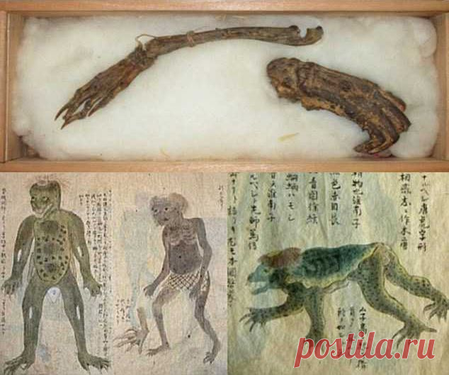 Кости водяного демона будут представлены на выставке в Японии