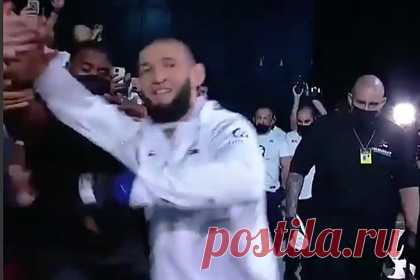 Новый Хабиб одержал четвертую подряд победу в UFC. Шведский боец смешанного стиля (MMA) чеченского происхождения Хамзат Чимаев, известный как Новый Хабиб, одержал победу над китайцем Ли Цзинляном на турнире UFC 267 в Абу-Даби. Поединок завершился в первом раунде. В начале четвертой минуты Чимаев применил удушающий прием, после которого рефери остановил бой.