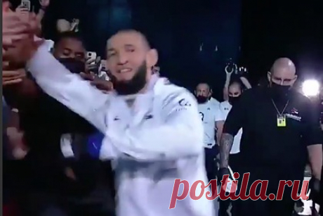 Новый Хабиб одержал четвертую подряд победу в UFC. Шведский боец смешанного стиля (MMA) чеченского происхождения Хамзат Чимаев, известный как Новый Хабиб, одержал победу над китайцем Ли Цзинляном на турнире UFC 267 в Абу-Даби. Поединок завершился в первом раунде. В начале четвертой минуты Чимаев применил удушающий прием, после которого рефери остановил бой.