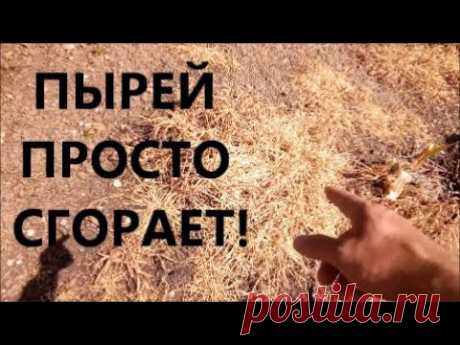 КАК ИЗБАВИТСЯ ОТ СОРНЯКА НА СВОЁМ УЧАСТКЕ // КАК СПРАВИТЬСЯ С ПЫРЕЕМ // КАК УНИЧТОЖИТЬ ЛЮБОЙ БУРЬЯН!