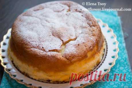 Елена - И снова Японский чизкейк