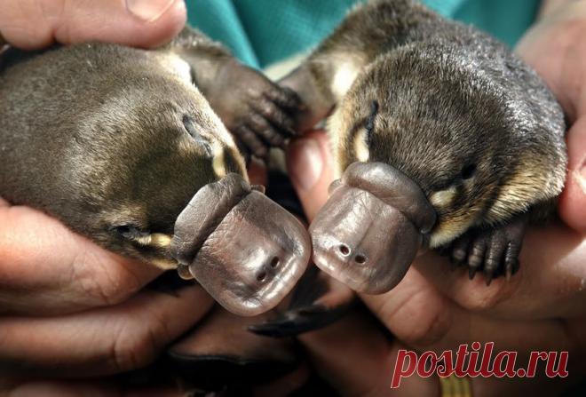 19 доказательств того, что нет ничего страшнее природы