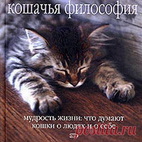 Кошачья философия. Мудрость жизни: что думают кошки о людях и о себ