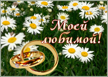 Картинка для моей любимой с ромашками