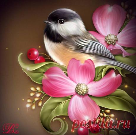 (6) Одноклассники