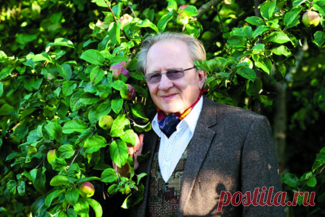 Adik Levin: Meil on neli nabavääti – bioloogiline, psühholoogiline, bioenergeetiline, sotsiaalne - Alkeemia