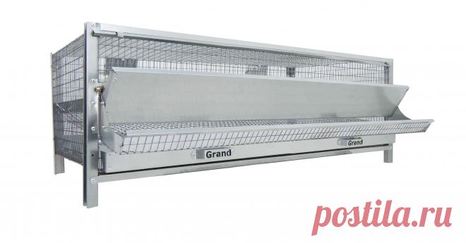 Клетка для перепелов 