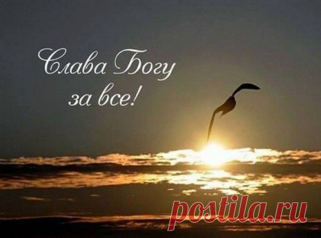 Алайа Замирова