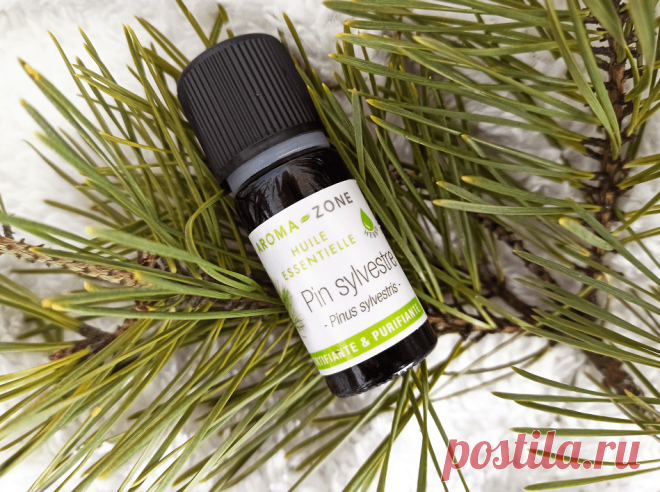 Эфирное масло сосны: большая сила крошечной капли. Надо ли рассказывать о том, как легко и свободно дышится в сосновом бору? Причина – в эфирах, которыми деревья насыщают воздух.