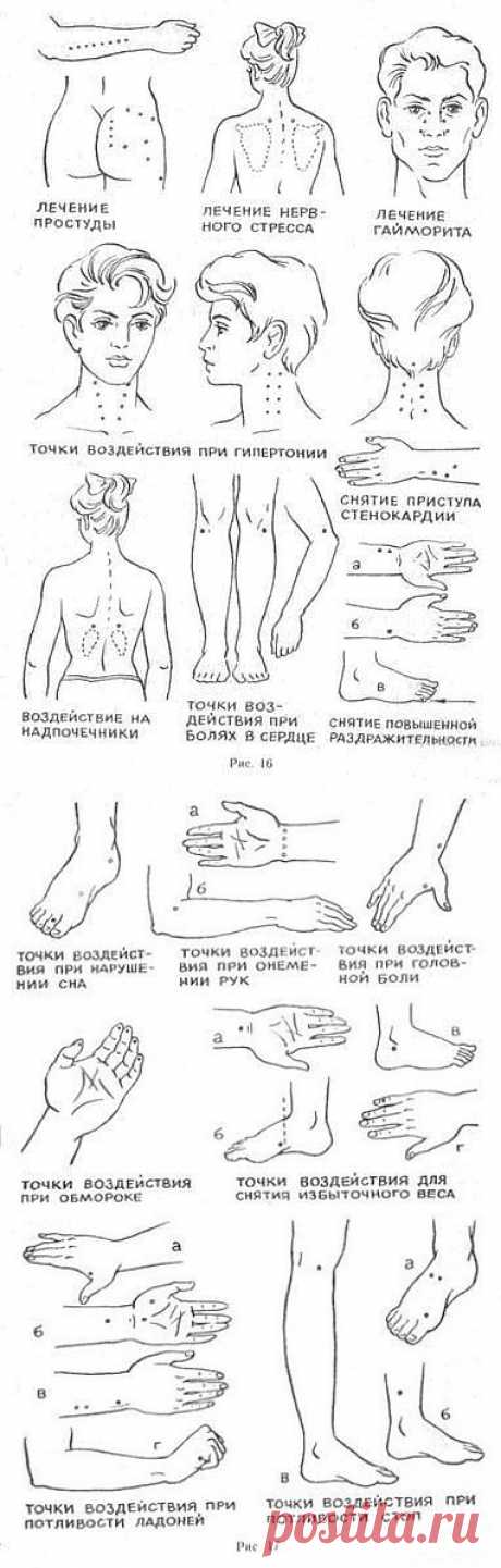 Активные точки тела.