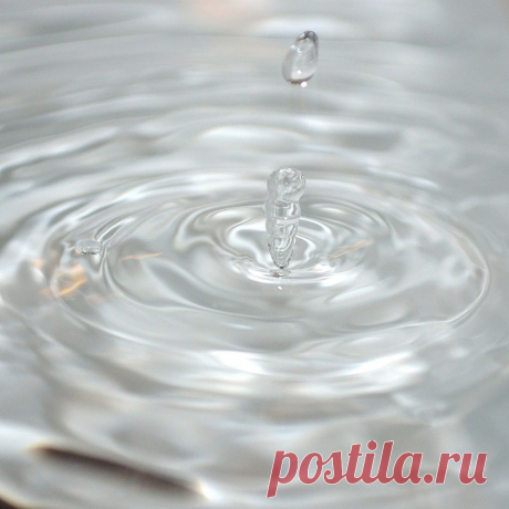 Mayo Fantasino в Instagram: «“Philosophy [nature] is written in that great book which ever is before our eyes -- I mean the universe -- but we cannot understand it if…» 7 отметок «Нравится», 0 комментариев — Mayo Fantasino (@mayofantasino) в Instagram: «“Philosophy [nature] is written in that great book which ever is before our eyes -- I mean the…»