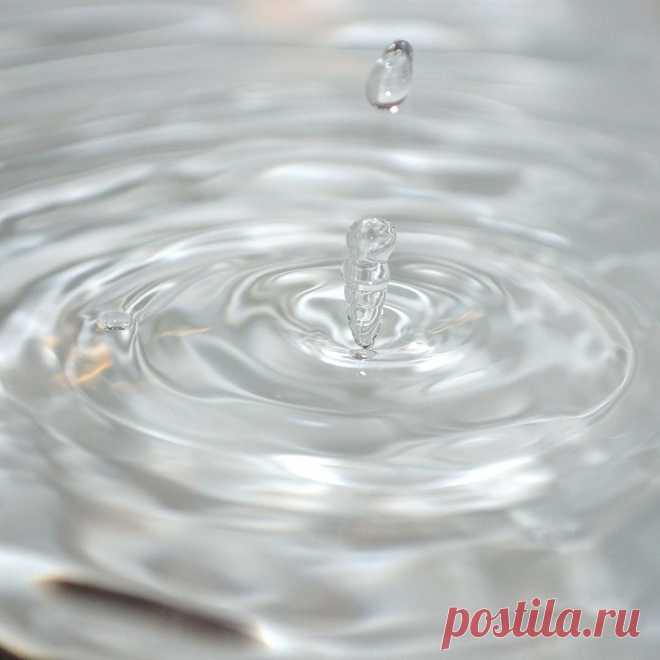 Mayo Fantasino в Instagram: «“Philosophy [nature] is written in that great book which ever is before our eyes -- I mean the universe -- but we cannot understand it if…» 7 отметок «Нравится», 0 комментариев — Mayo Fantasino (@mayofantasino) в Instagram: «“Philosophy [nature] is written in that great book which ever is before our eyes -- I mean the…»