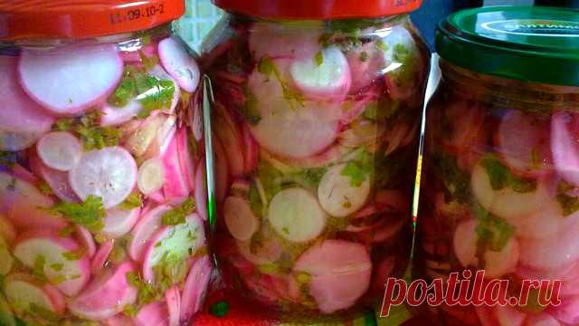 ПОДСЕЛИ МЫ НА ЭТУ РЕДИСКУ. ХИТ ЭТОЙ ВЕСНЫ!