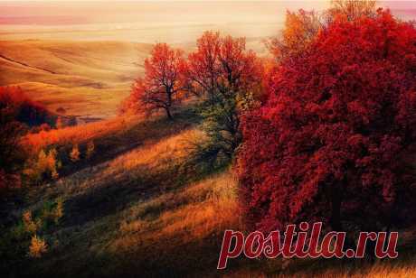 Фотографии на стене сообщества – 65 782 фотографии | ВКонтакте