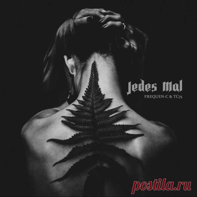 frequen-C & TC75 - Jedes Mal (EP) (2025) 320kbps / FLAC