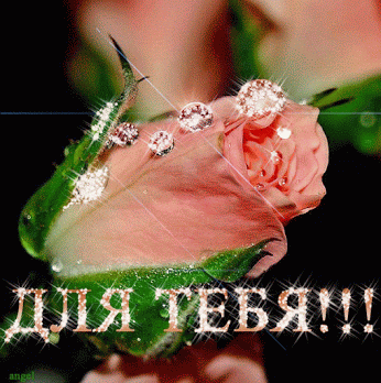 Фото цветов блестящие. Красивые живые цветы gif ⋆ Картинки Открытки Праздники