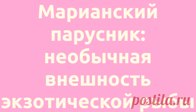 Марианский парусник: необычная внешность экзотической рыбы
Наука Биология 03.07.2021, 08:00 Марианский парусник: необычная внешность экзотической рыбы В глубинах...
Читай дальше на сайте. Жми подробнее ➡