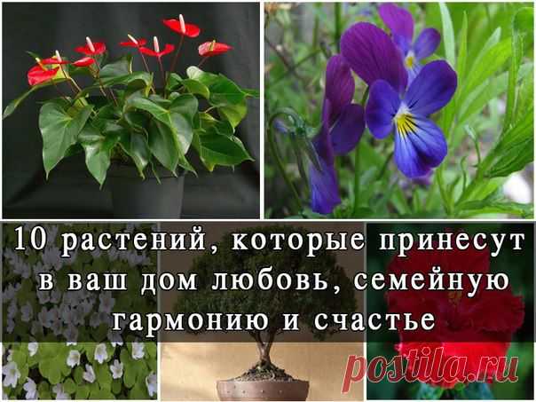 Романтика и декор своими руками