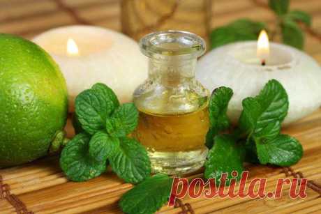 Эфирное масло мяты для шикарных волос.