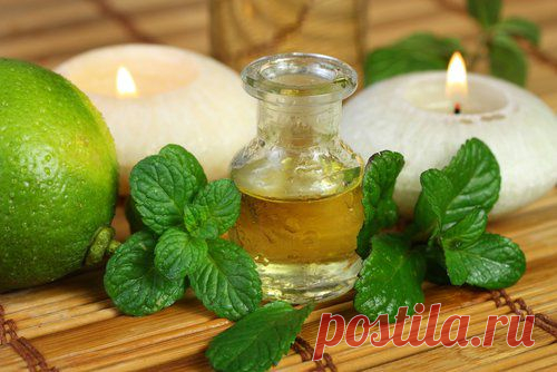 Эфирное масло мяты для шикарных волос.