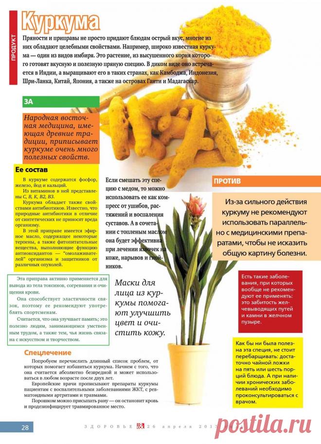 Куркума: за и против