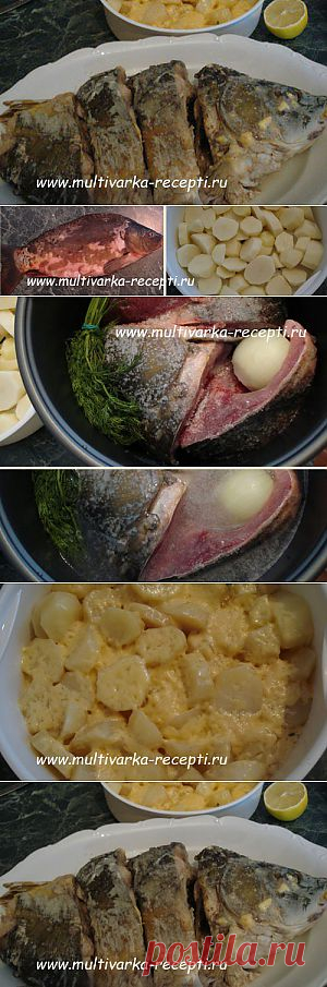Отварной зеркальный карп и картофель с сыром в мультиварке. Дуэт. |
