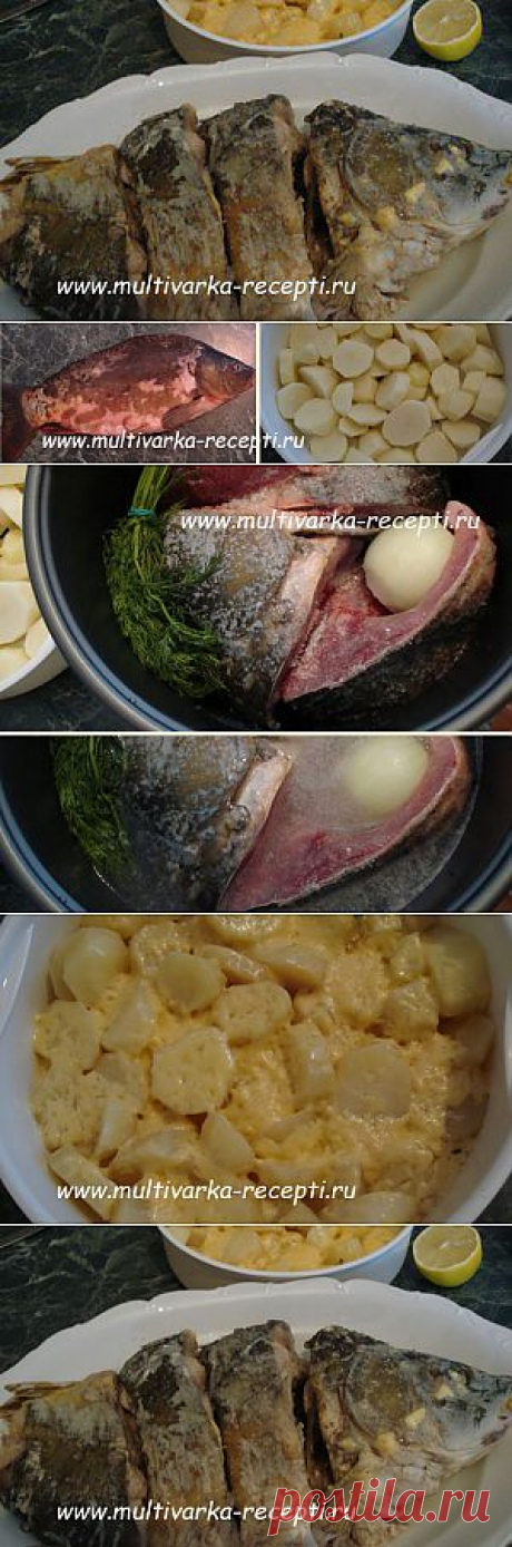 Отварной зеркальный карп и картофель с сыром в мультиварке. Дуэт. |