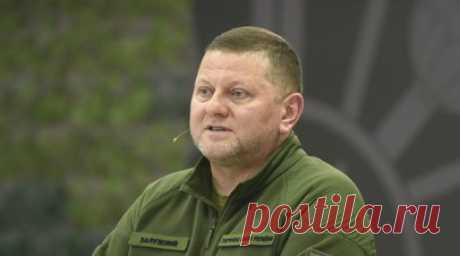 Биограф Шустер: амбиции Залужного стали причиной его конфликта с Зеленским. Возможные политические амбиции главнокомандующего Вооружёнными силами Украины Валерия Залужного стали причиной его конфликта с Владимиром Зеленским, заявил написавший биографию Зеленского журналист Time Саймон Шустер. Читать далее