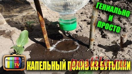 НЕ ВЫБРАСЫВАЙТЕ ПЛАСТИКОВЫЕ БУТЫЛКИ СДЕЛАЙТЕ ИЗ НИХ УНИКАЛЬНЫЙ КАПЕЛЬНЫЙ ПОЛИВ
