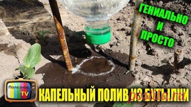 НЕ ВЫБРАСЫВАЙТЕ ПЛАСТИКОВЫЕ БУТЫЛКИ СДЕЛАЙТЕ ИЗ НИХ УНИКАЛЬНЫЙ КАПЕЛЬНЫЙ ПОЛИВ