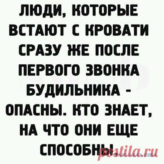Картинки юморные и тексты - ЯПлакалъ