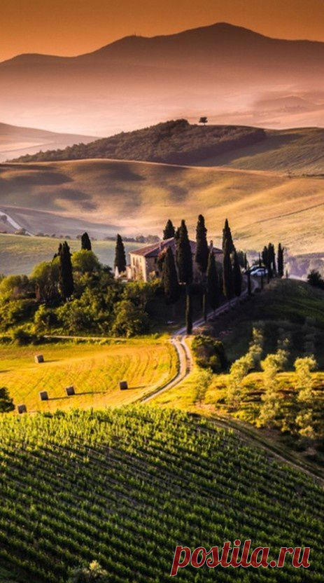 Pinterest. - Таскания