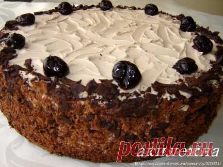 Торт «Сад вишневый»