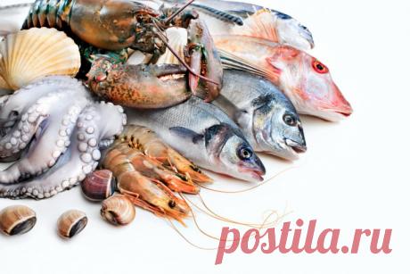 Морепродукты снижают вероятность нарушений мозга | Образовательная программа: компендиум здоровья.