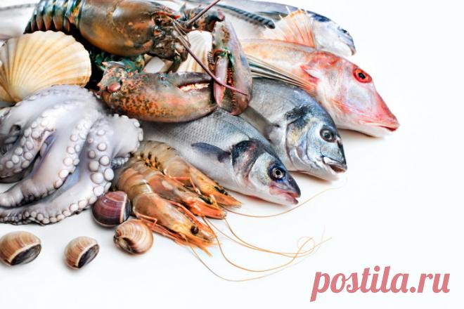 Морепродукты снижают вероятность нарушений мозга | Образовательная программа: компендиум здоровья.