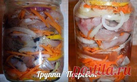 Селёдка по-голландски.

Возьмите на вооружение рецепт СЕЛЕДКИ ПО-ГОЛЛАНДСКИ. Такие банки опустошаются за раз! Эта рыбка со стола сметается в первую очередь. Советую очень!

Продукты:

Сельдь свежемороженная - 2 шт.,
Лук - 2 шт.,
Лимон - 0,5 шт.,
Сахар - около 6 ч.л.,
Соль-6 ч.л.,
Морковь - 1 шт.,
Лавровый лист - 10-12 шт.,
Чёрный перец - 8-10 горошин (крупно-молотых)

Выход: две 0,5 л банки (4-6 порций).

Приготовление:

Лимон нарезаем тонкими кружочками.

Морковь трем на ...